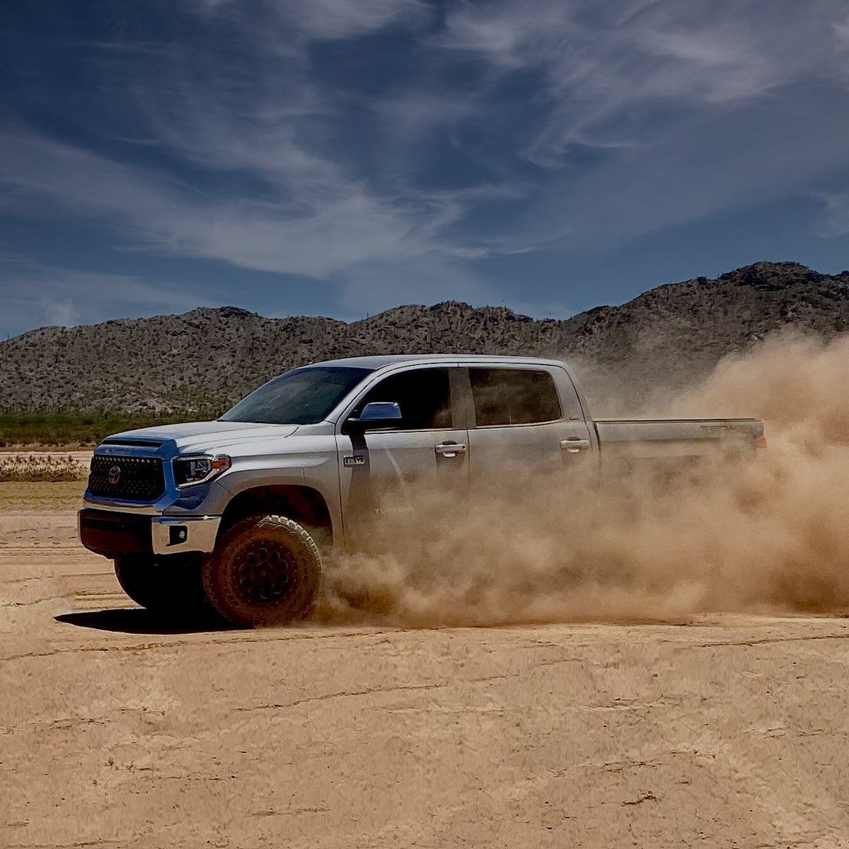 Ark Splash Guards Safeguard Your Vehicle